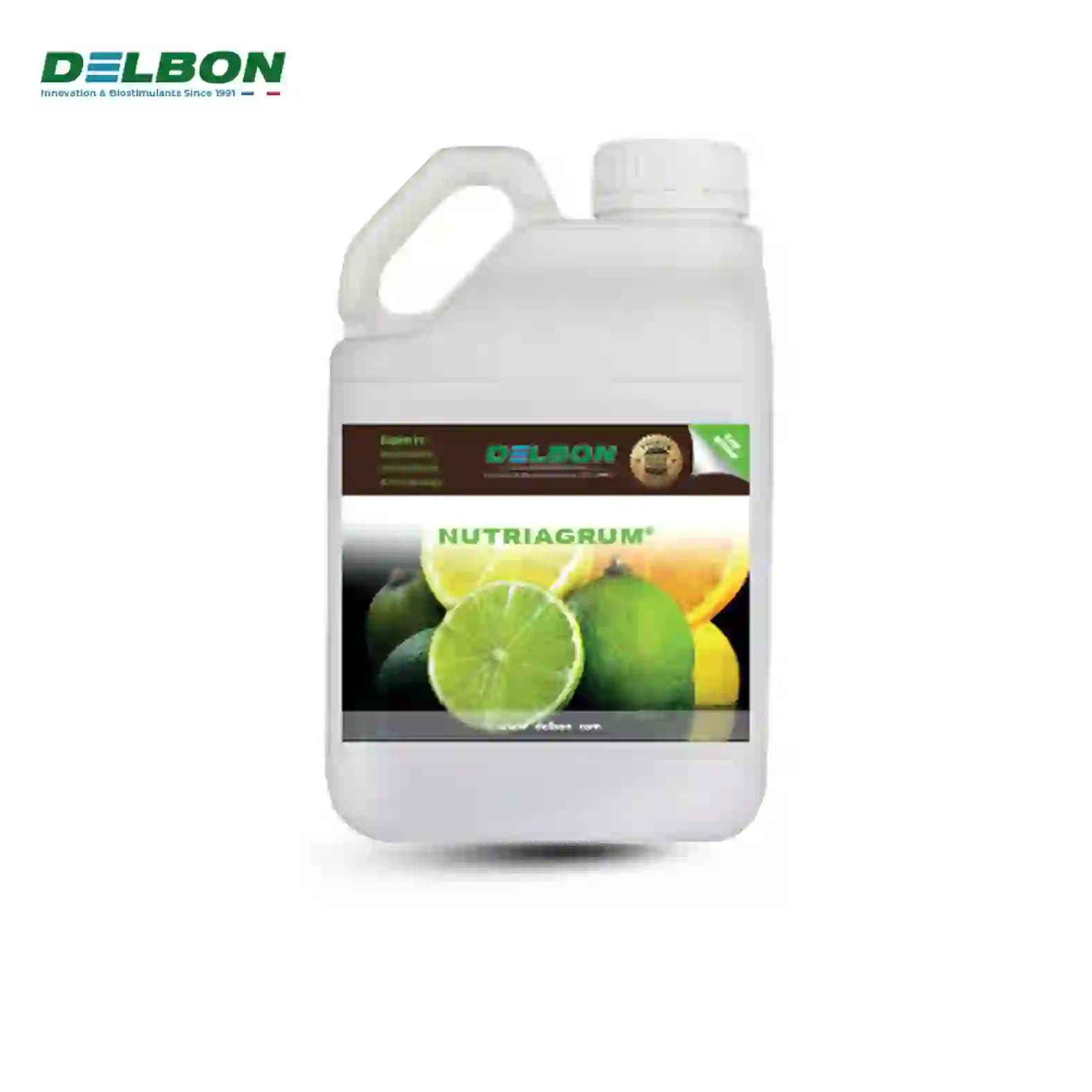 Citrus Special Fertilizer
